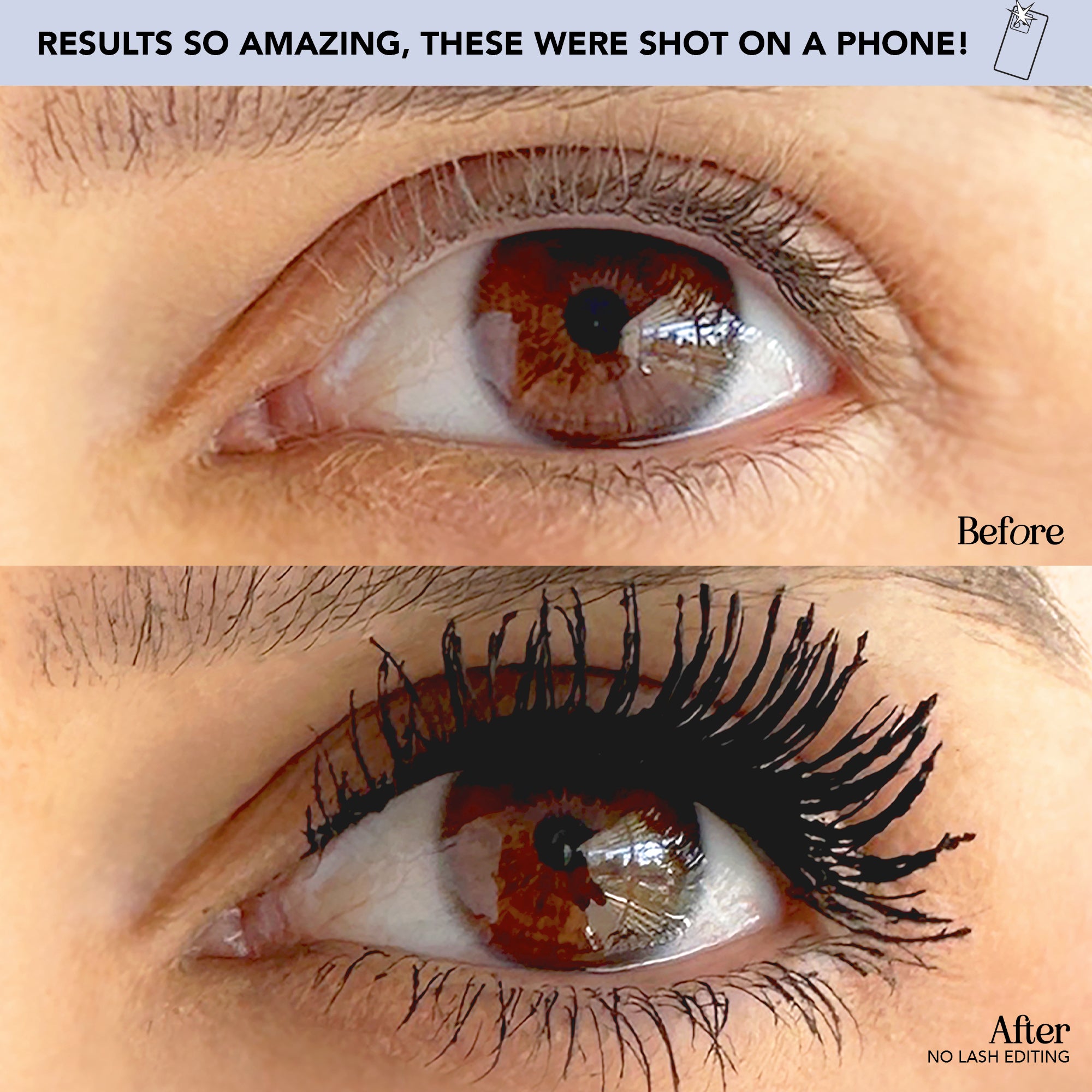 Greatest Lashes of All Time Sample - Polite Society